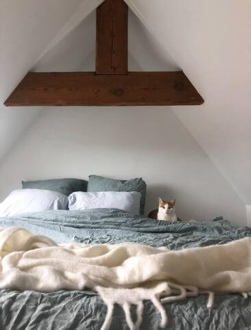 Beautiful Cosy Apartments In The Heart Of アントウェルペン エクステリア 写真